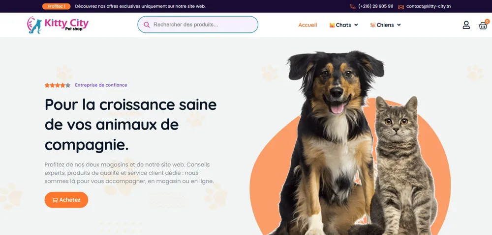 Kitty City, boutique e-commerce réalisée par Atelier Cadran Aperçu du site e-commerce Kitty City conçu par Atelier Cadran